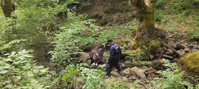 Korhan Berzeg ile ilgili önemli gelişme! Bulunan kemikler Berzeg'in kızıyla eşleşti