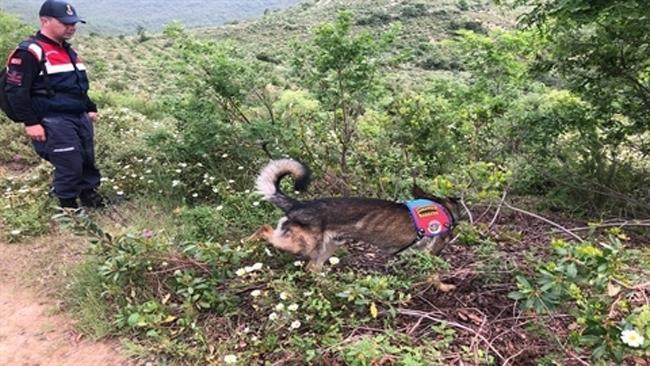 Korhan Berzeg ile ilgili önemli gelişme! Bulunan kemikler Berzeg'in kızıyla eşleşti