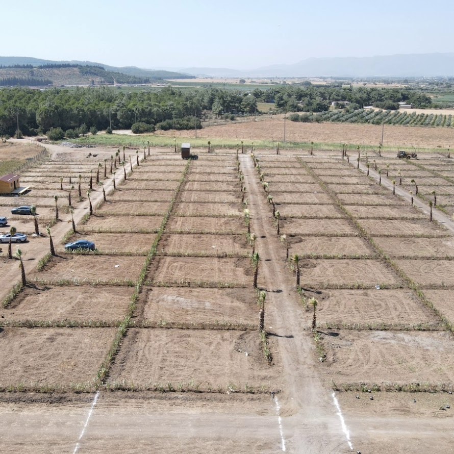 İzmir Menderes’te Harun Karakaya’nın Yeşilköy Projesi ile Beton Yok, Doğa Var